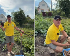 Що обов'язково потрібно зробити на грядках у серпні, щоб земля відпочила і дала подвійний врожай наступного року