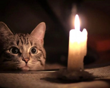 У Кам'янському 25 лютого вимикатимуть світло: графік та адреси відключень