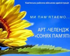 В Кам’янському районі проводять арт-челендж «Сонях пам’яті»: як приєднатися до патріотичної акції