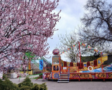 Весняна симфонія кольорів: як змінюється Центральний парк Кам’янського у квітні