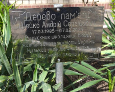У Кам’янському висадили сакури на честь полеглого Героя