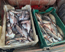 У Кам’янському водосховищі браконьєр наловив риби на майже 370 тисяч гривень: що чекає порушника