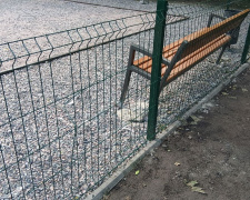 Варварство у міському парку Кам’янського