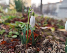 У Кам’янському лютий завершиться температурними гойдалками: прогноз погоди на 23-27 лютого