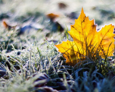 Яким буде останній місяць осені на Дніпропетровщині – прогноз синоптиків