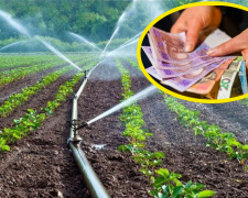 Тариф залежатиме від дощів: у Кам’янському розпочався сезон поливу городів