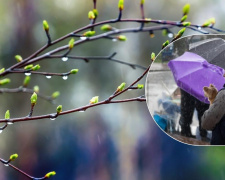 Тиждень парасольок: у Кам’янському очікується похолодання та опади