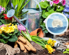 Посівний календар на травень 2026: сприятливі дні для висадки помідорів, огірків та перцю