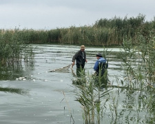 У Кам’янському водосховищі виявили незвичайних мешканців