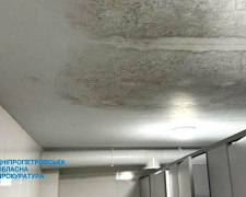 Замість безпечних сховищ - пліснява і корупція: посадовицю з Дніпропетровщини підозрюють у крадіжці мільйонів