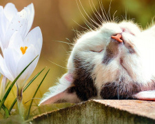 Остання неділя березня у Кам'янському: синоптики попередили про дощі та важливі зміни в часі