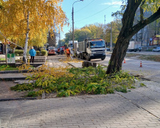 У Кам&#039;янському оновлюють важливу пішохідну зону - які роботи заплановані