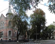 Стійкі міські дерева ростуть на вулицях індустріального Кам'янського.