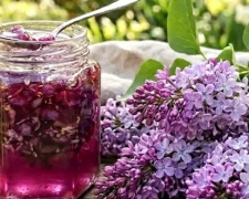Травневий хіт для гурманів: як зварити ніжне варення з бузку вдома - рецепт від шеф-кухаря