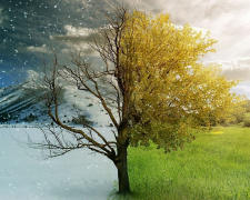 Як плавно перейти від зими до весни: 12 практичних кроків для тіла, дому та настрою