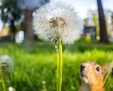 Спека чи зливи: якою буде погода в Кам'янському на вихідних 6 та 7 червня