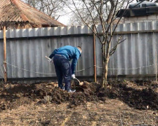 7 помилок на городі, які можуть залишити без урожаю: актуальні застереження для господарів Дніпропетровщини