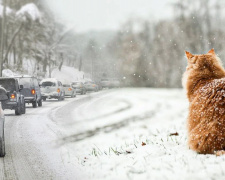 Прощавай, відлиго: синоптики попередили про температурний стрибок у Кам’янському