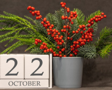 Сьогодні не можна починати генеральне прибирання: традиції та прикмети 22 жовтня