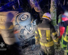 Смертельна ДТП під Кам’янським - водій легковика врізався у дерево