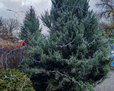 Кам&#039;янське в очікуванні свята: які новорічні декорації та ілюмінацію вже встановили у Центральному парку