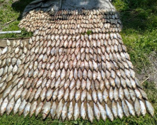 Збитків на мільйон - рибоохоронці зупинили браконьєрів, які виловили 600 рибин на Кам&#039;янському водосховищі