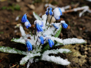Святковий сюрприз у Кам’янському: якими будуть вихідні 7-8 березня