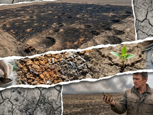 Отрута під ногами: вчені б’ють на сполох через хімічний склад землі на Дніпропетровщині
