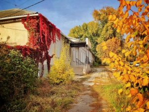 де в Кам'янському восени відкриваються зовсім інші краєвиди