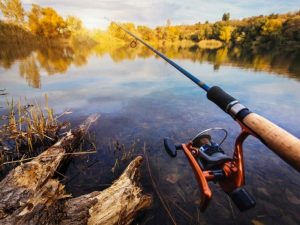 Скільки риби можна ловити в Кам’янському водосховищі у 2026 році
