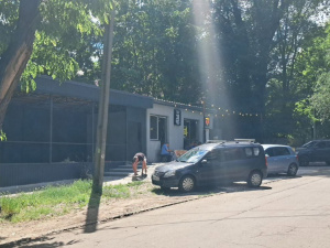 У центрі Кам'янського заради парковки вирубали дерева, позбавивши сну поранених ветеранів - подробиці