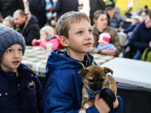 Мільйони у "пастці" критеріїв: чому тисячі дітей ВПО на Дніпропетровщині можуть не отримати обіцяні 3000 гривень