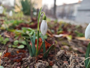 У Кам’янському лютий завершиться температурними гойдалками: прогноз погоди на 23-27 лютого