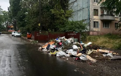 Щури, бруд і смертельна хвороба: у Кам'янському сміттєва купа загрожує здоров'ю мешканців