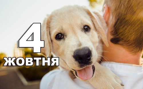 Сьогодні забороняється пускати до оселі незнайомих людей: традиції та прикмети 4 жовтня