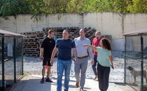 У Кам'янському притулку для тварин для чотирилапих мешканців облаштували комфортні вольєри