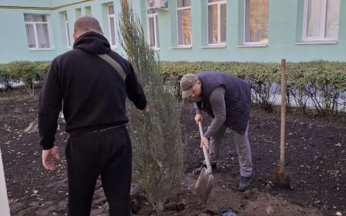 Дерева замість сліз: у Кам’янському з’явилася алея на честь полеглих і зниклих Героїв