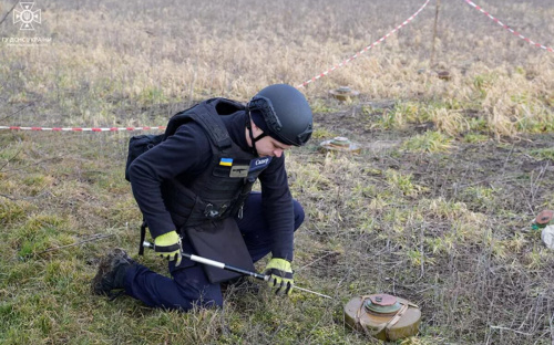 Піротехніки на Дніпропетровщині від початку року знешкодили понад 1,6 тис. вибухових предметів