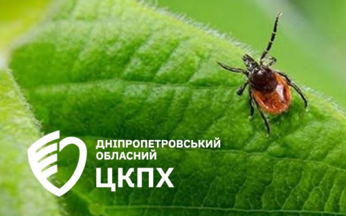Хвороба Лайма та енцефаліт: як кам'янчанам вчасно розпізнати небезпеку після укусу кліща