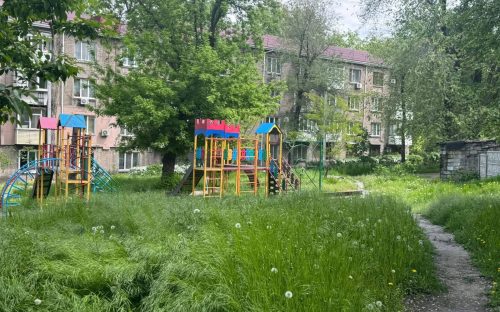 Замість дитячих майданчиків - джунглі: кам’янчани скаржаться на катастрофічний стан із покосом трави