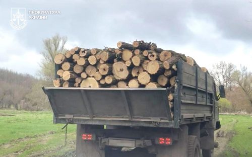 Знищували ліс пів року, збитки на 3 мільйони: у Кам’янському районі судитимуть «чорних лісорубів»