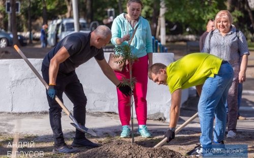 У Кам’янському оновлюють зелені зони у скверах та біля навчальних закладів - подробиці