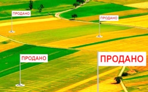 Гектари на мільйони: як фальшиві рішення суду ледве не залишили громаду Кам’янського району без землі