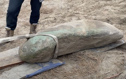 На Дніпропетровщині знайшли стелу фалічної форми, якій близько 5 тисяч років