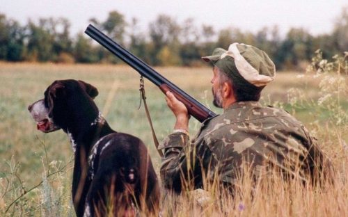 Полювання по-новому: в Україні створять Єдиний мисливський реєстр і запровадять бірки на дичину