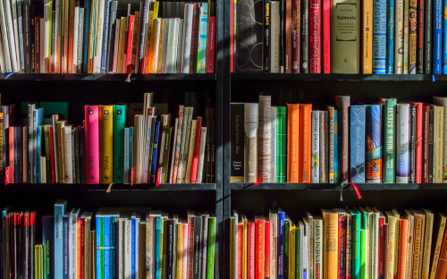 Попит на слово: аналіз книжкового ринку в Кам'янському