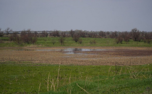 Чому водойми Дніпропетровщини зникають та чи є шанс їх урятувати