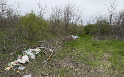 Шок після поминальних днів: Карнаухівське кладовище завалене сміттям