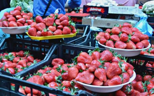 Полуничний сезон 2026: коли чекати на перші ягоди з ферм Дніпропетровщини та якими будуть ціни
