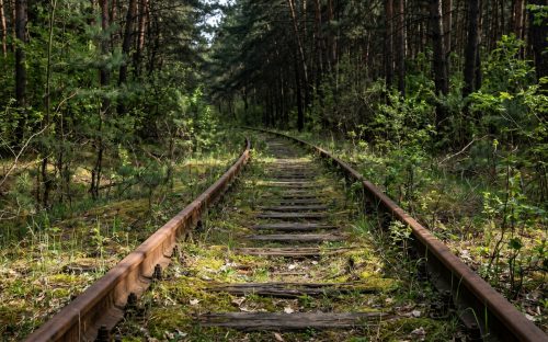 Забута залізниця: куди ведуть рейки, що зникають посеред лісу на Дніпропетровщині